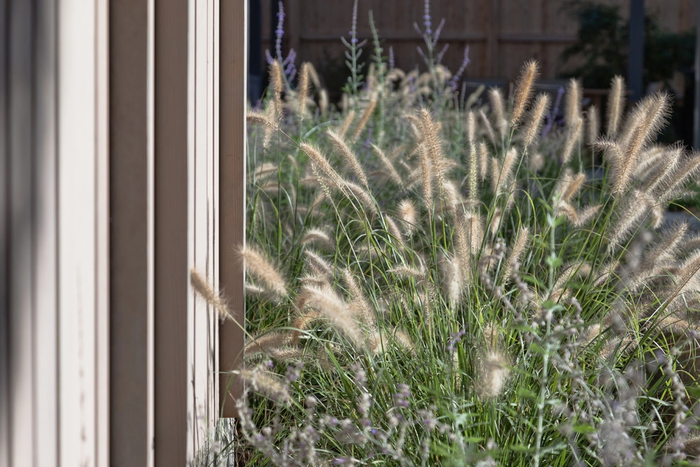 Longwood Garden by Matthew Cunningham Landscape Design LLC - Photo 58