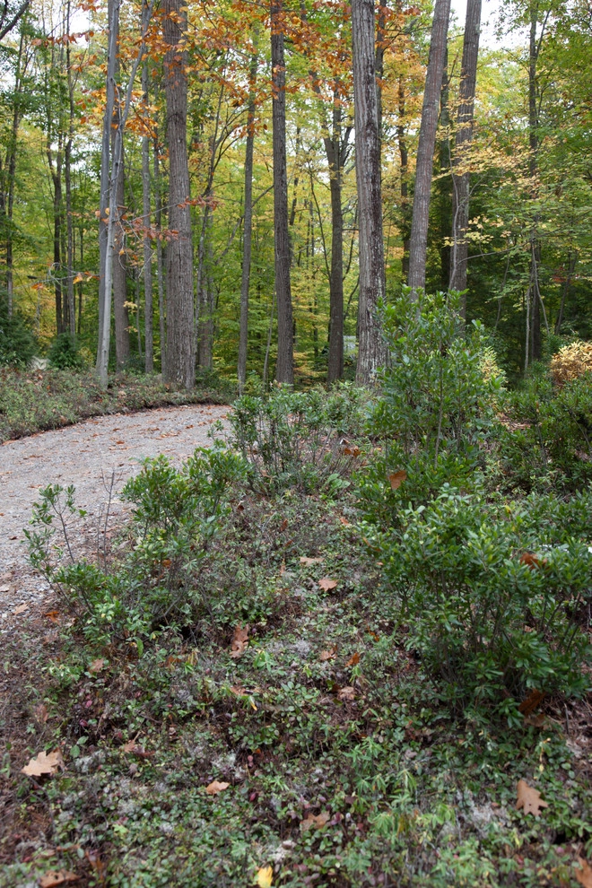 Dog Cove by Matthew Cunningham Landscape Design LLC - Photo 3