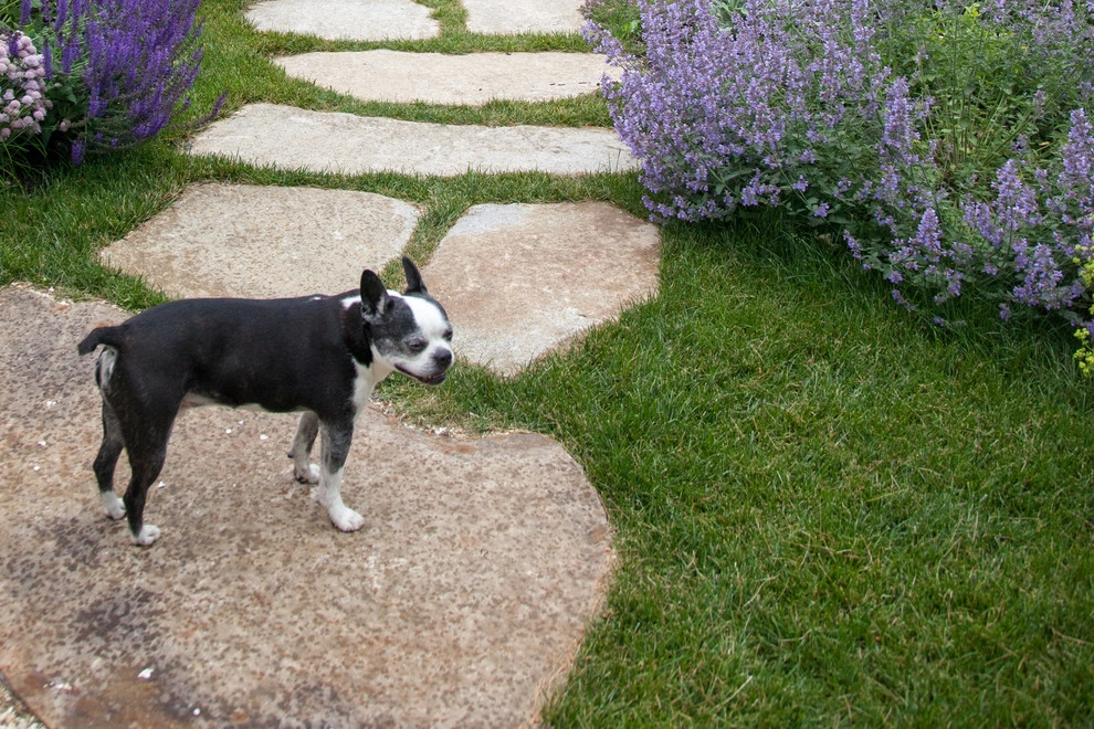 Clamshell Alley by Matthew Cunningham Landscape Design LLC - Photo 78