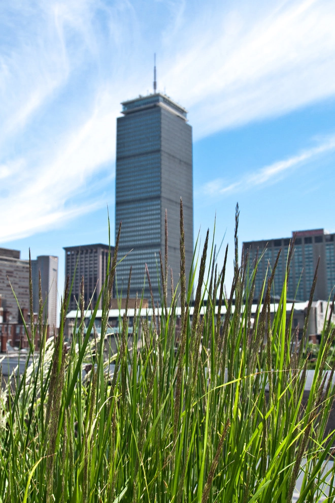 Commonwealth Avenue Rooftop by Matthew Cunningham Landscape Design LLC - Photo 35