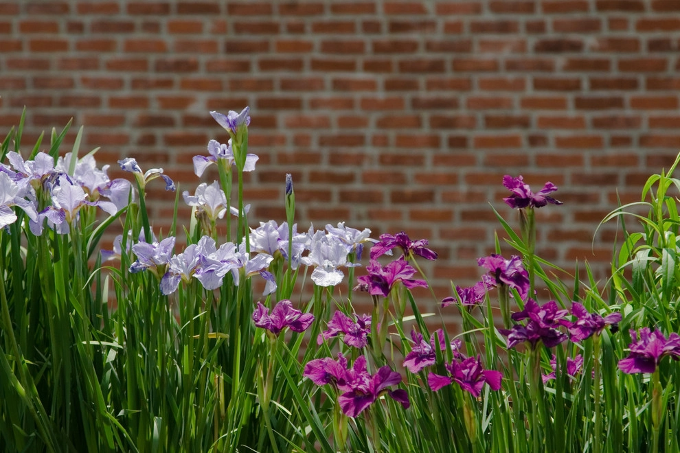 Commonwealth Avenue Rooftop by Matthew Cunningham Landscape Design LLC - Photo 41