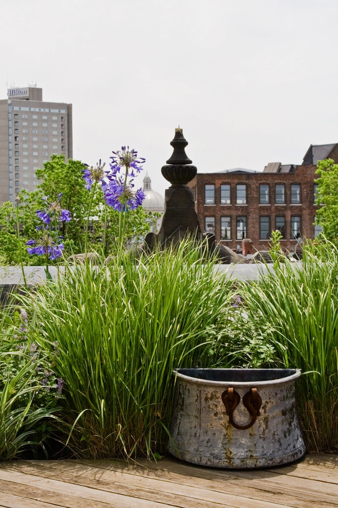 Commonwealth Avenue Rooftop by Matthew Cunningham Landscape Design LLC - Photo 24