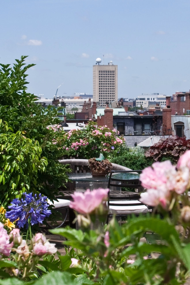 Commonwealth Avenue Rooftop by Matthew Cunningham Landscape Design LLC - Photo 23