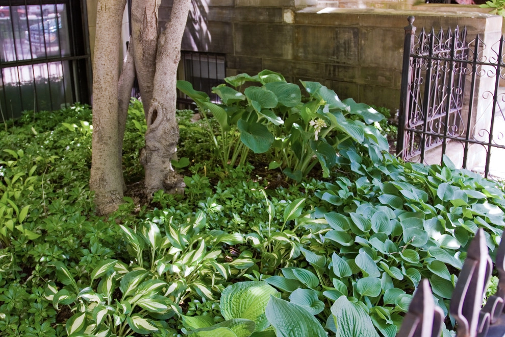 Commonwealth Avenue Rooftop by Matthew Cunningham Landscape Design LLC - Photo 5
