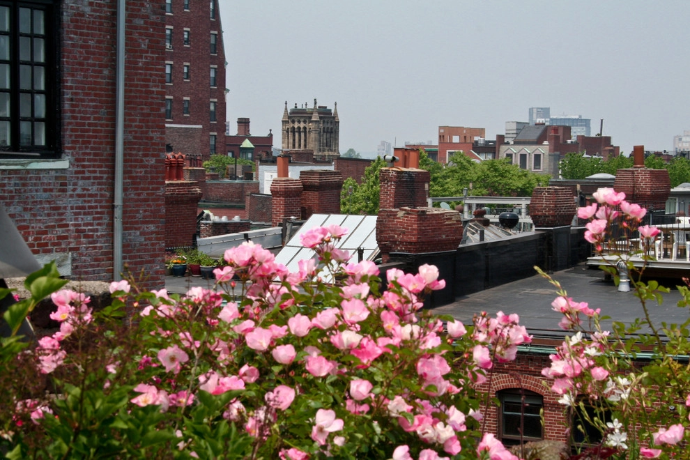 Commonwealth Avenue Rooftop by Matthew Cunningham Landscape Design LLC - Photo 38