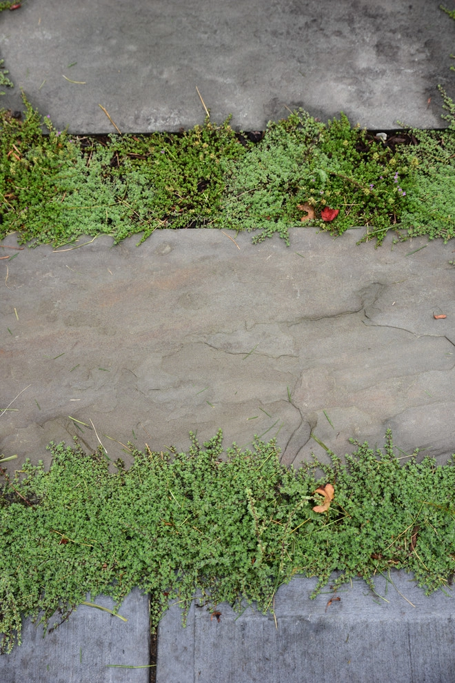 Waban Hillside by Matthew Cunningham Landscape Design LLC - Photo 91