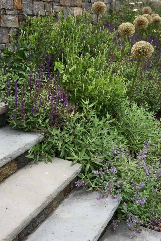 Waban Hillside by Matthew Cunningham Landscape Design LLC - Photo 34