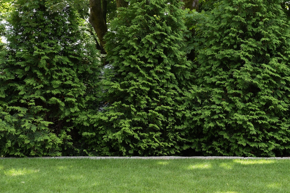 Waban Hillside by Matthew Cunningham Landscape Design LLC - Photo 27