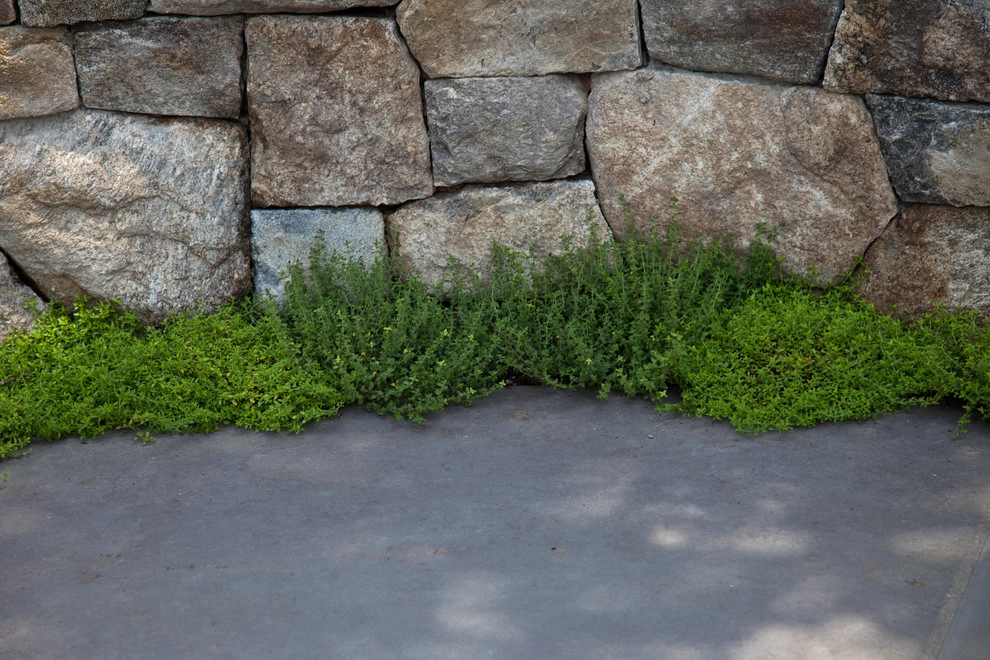 Warren Estate by Matthew Cunningham Landscape Design LLC - Photo 19