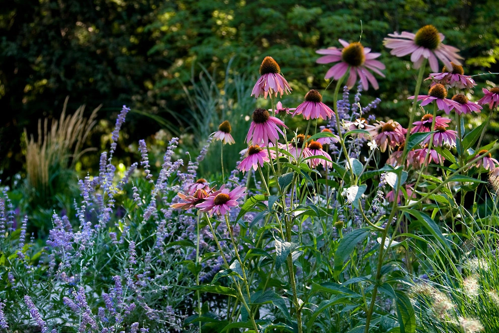Belmont Hill Residence by Matthew Cunningham Landscape Design LLC - Photo 46