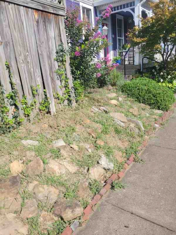 Alberto Alavez Professional Lawn Services LLC 3 by Alberto Alavez Professional Lawn Services LLC - Photo 43