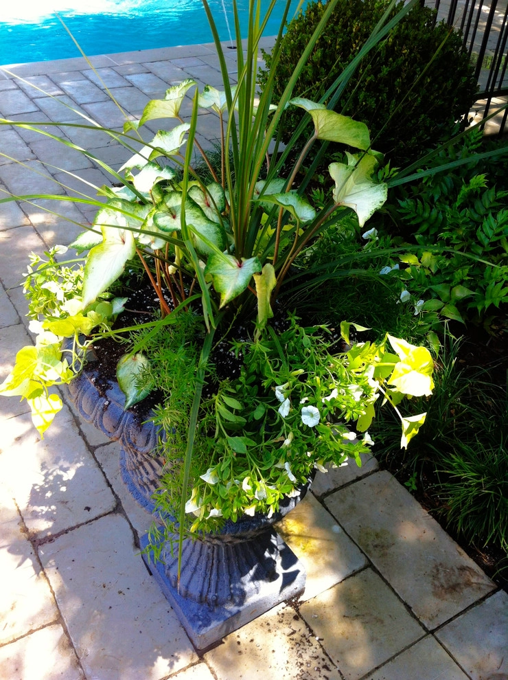Southern Styled Garden by Matthew Murrey Design - Photo 15