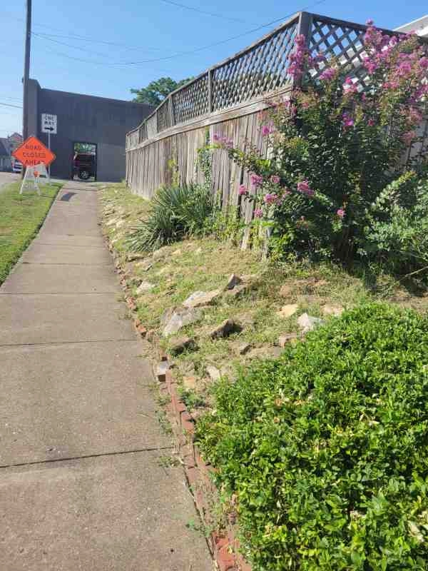 Alberto Alavez Professional Lawn Services LLC 3 by Alberto Alavez Professional Lawn Services LLC - Photo 62