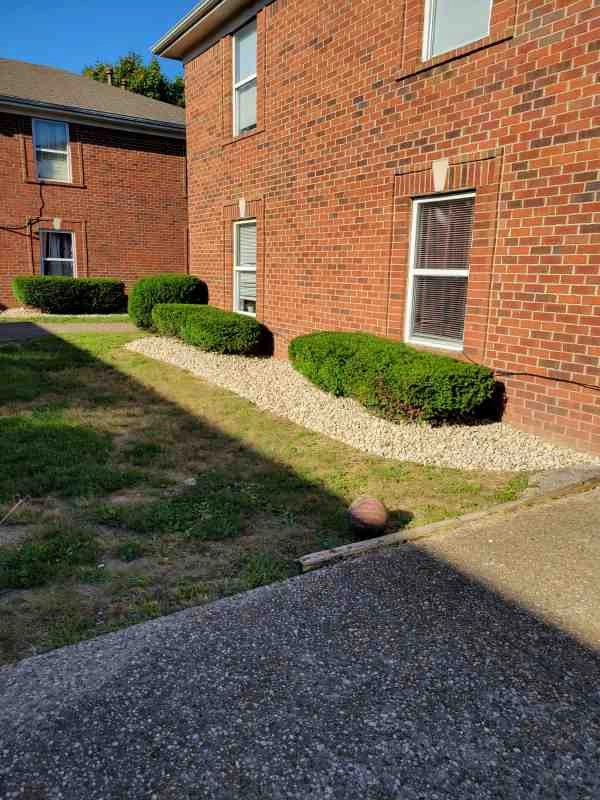 Alberto Alavez Professional Lawn Services LLC 3 by Alberto Alavez Professional Lawn Services LLC - Photo 5