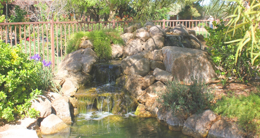 Mauri Landscapes - Photo 13