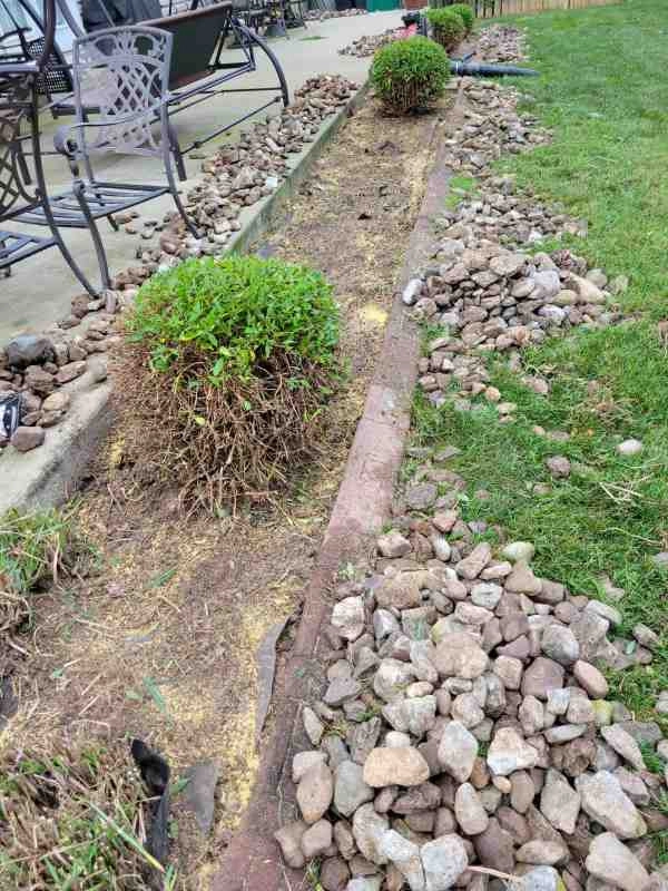 Alberto Alavez Professional Lawn Services LLC 3 by Alberto Alavez Professional Lawn Services LLC - Photo 57