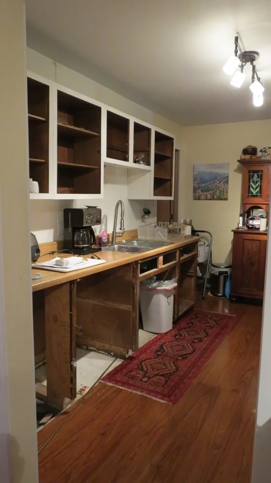 Kitchen renovation for a galley layout by Skyline Remodeling - Photo 3