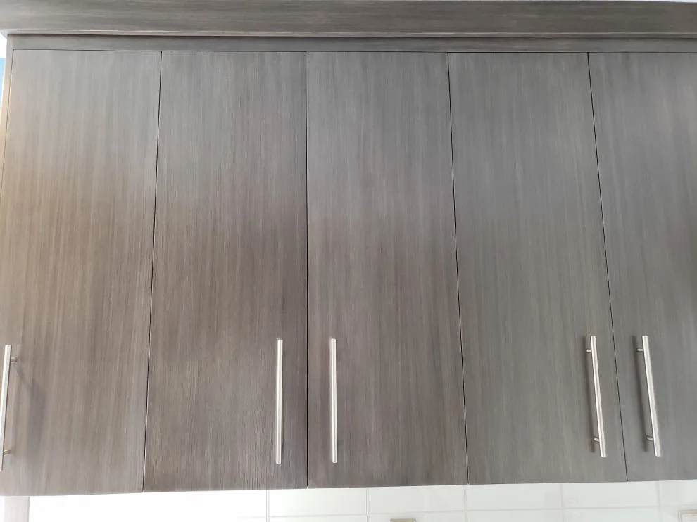 Contemporary Kitchen Renovation by On The Level Remodeling Company - Photo 2