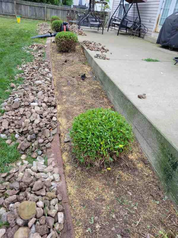 Alberto Alavez Professional Lawn Services LLC 3 by Alberto Alavez Professional Lawn Services LLC - Photo 92