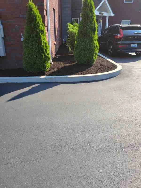 Alberto Alavez Professional Lawn Services LLC 3 by Alberto Alavez Professional Lawn Services LLC - Photo 7