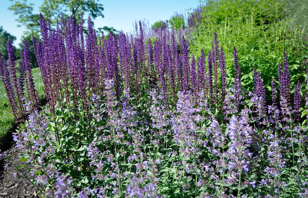 New Albany Farms by McCullough's Landscape & Nursery - Photo 34