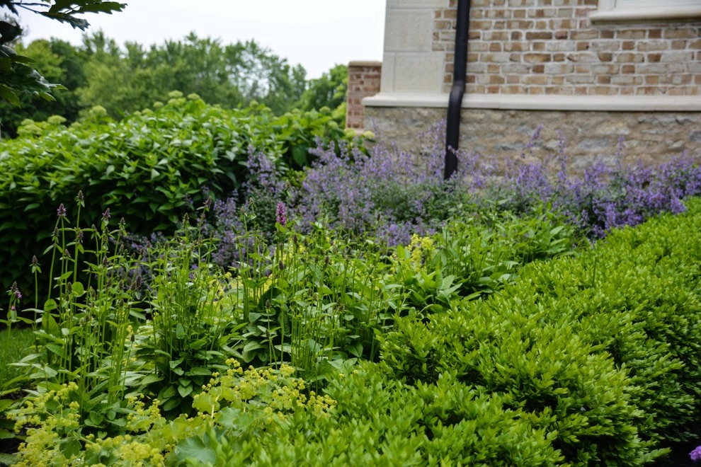 New Albany Farms by McCullough's Landscape & Nursery - Photo 11