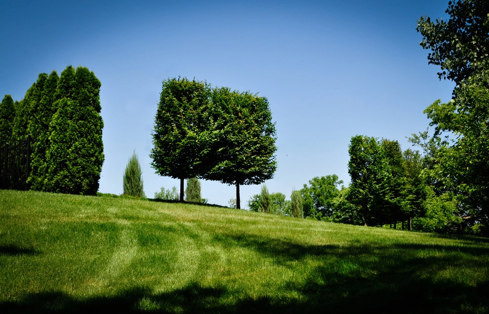 Maintenance by McCullough's Landscape & Nursery - Photo 6