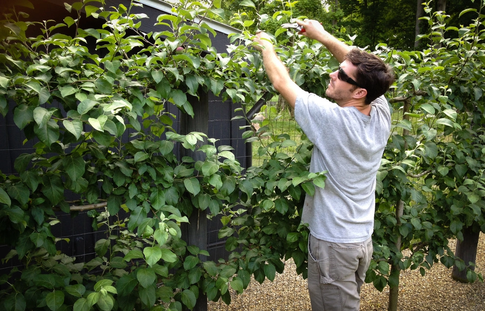 Maintenance by McCullough's Landscape & Nursery - Photo 24