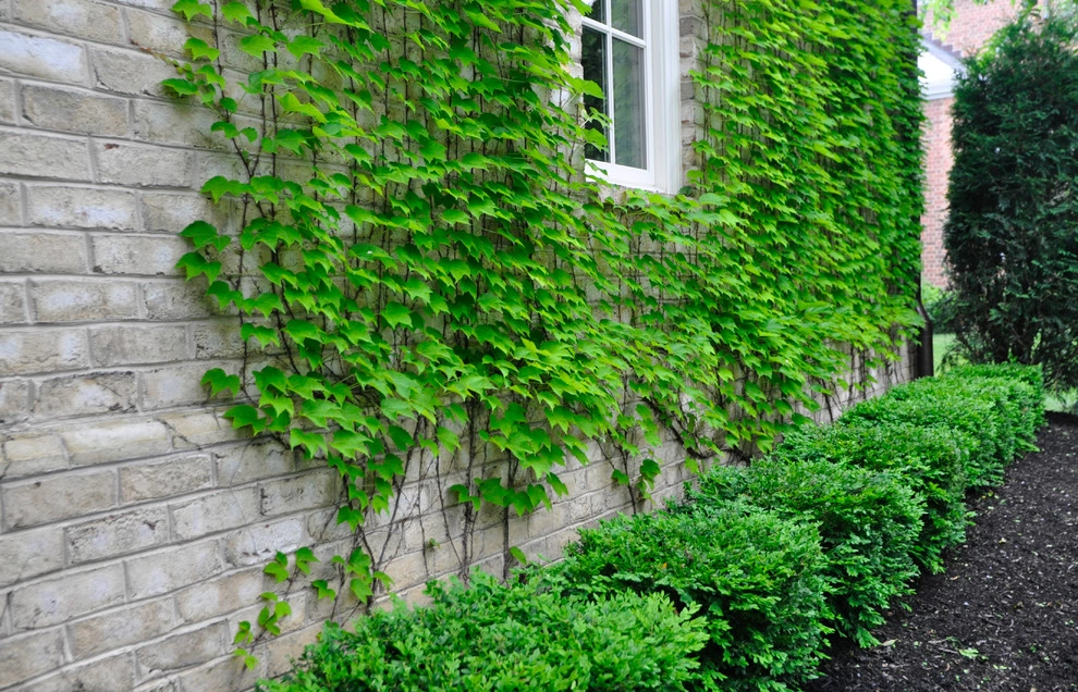 Parterre Garden by McCullough's Landscape & Nursery - Photo 8