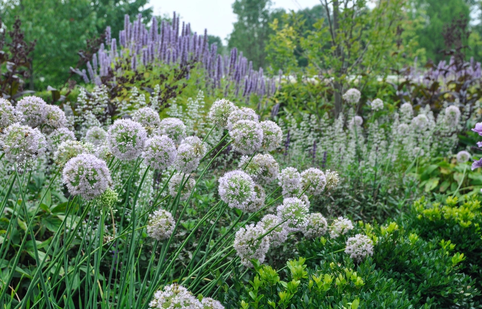 Parterre Garden by McCullough's Landscape & Nursery - Photo 20