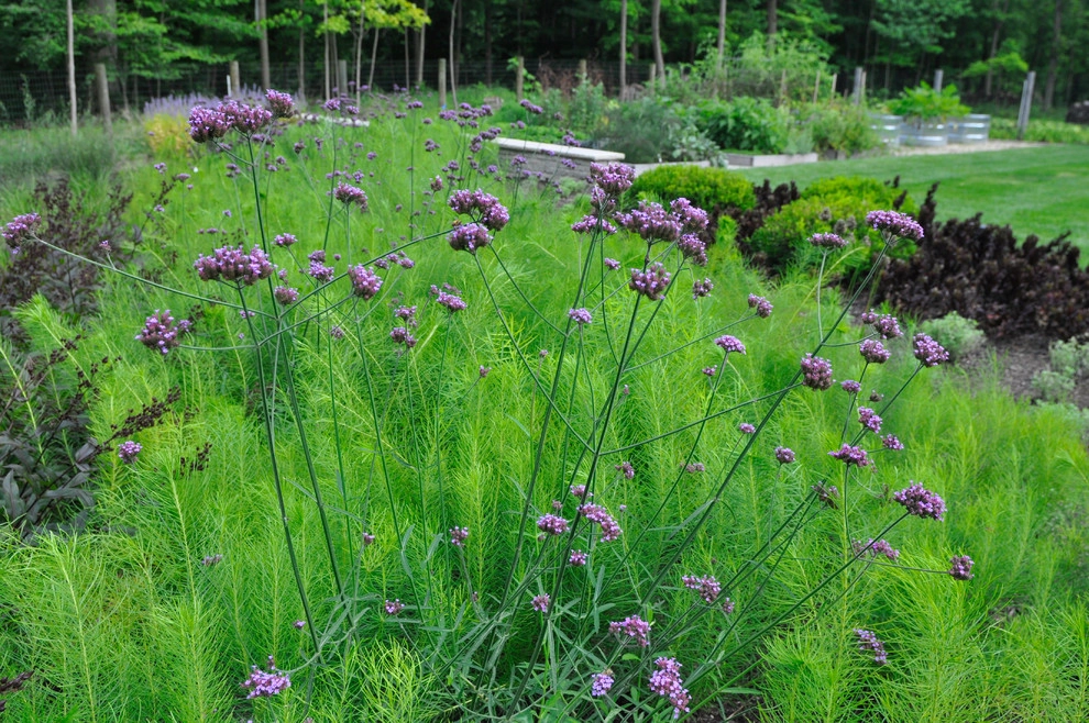 Barn House by McCullough's Landscape & Nursery - Photo 34