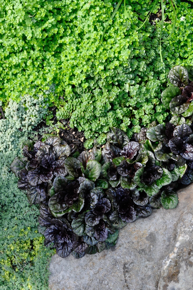 Barn House by McCullough's Landscape & Nursery - Photo 25