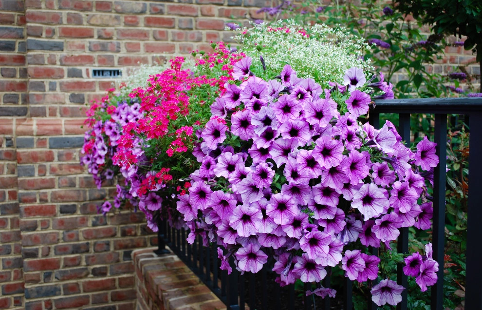 Country House by McCullough's Landscape & Nursery - Photo 10