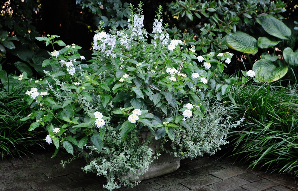 CONTAINERS by McCullough's Landscape & Nursery - Photo 52