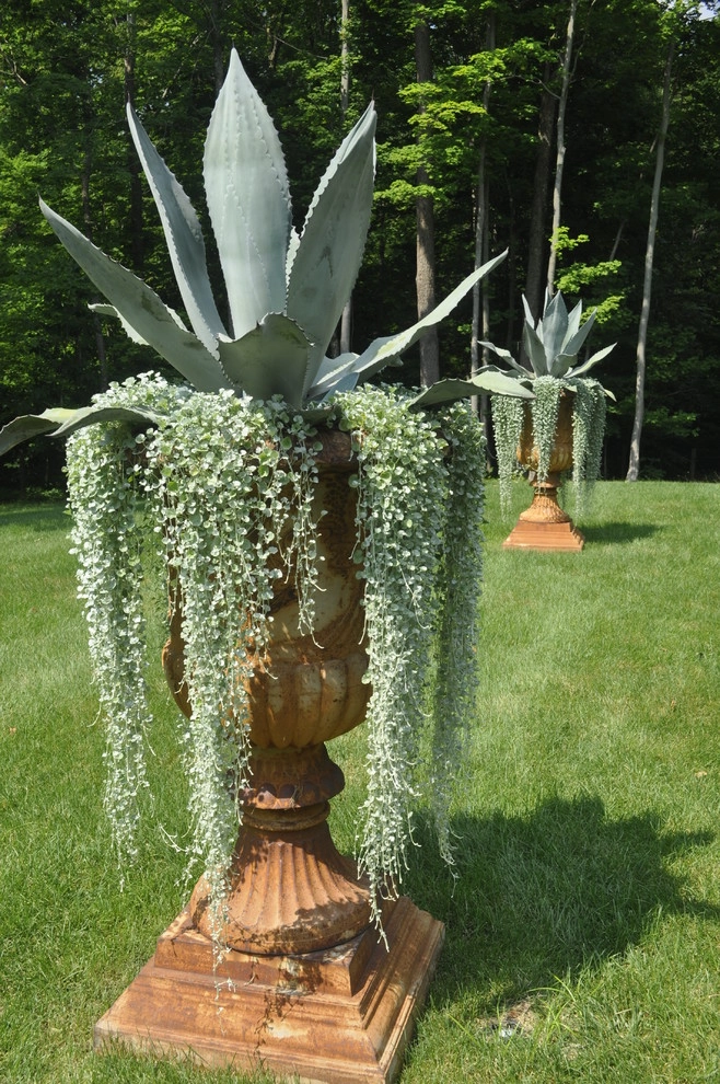 CONTAINERS by McCullough's Landscape & Nursery - Photo 13