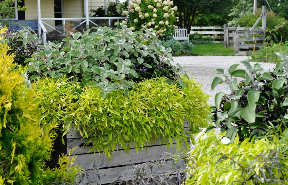 CONTAINERS by McCullough's Landscape & Nursery - Photo 7