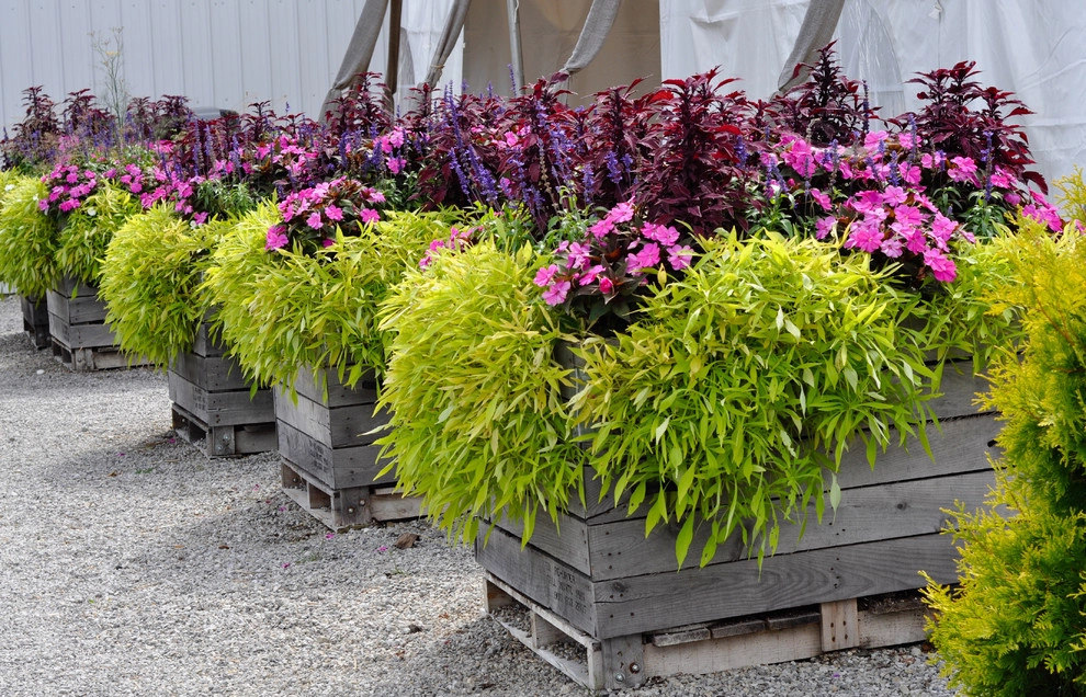 CONTAINERS by McCullough's Landscape & Nursery - Photo 79