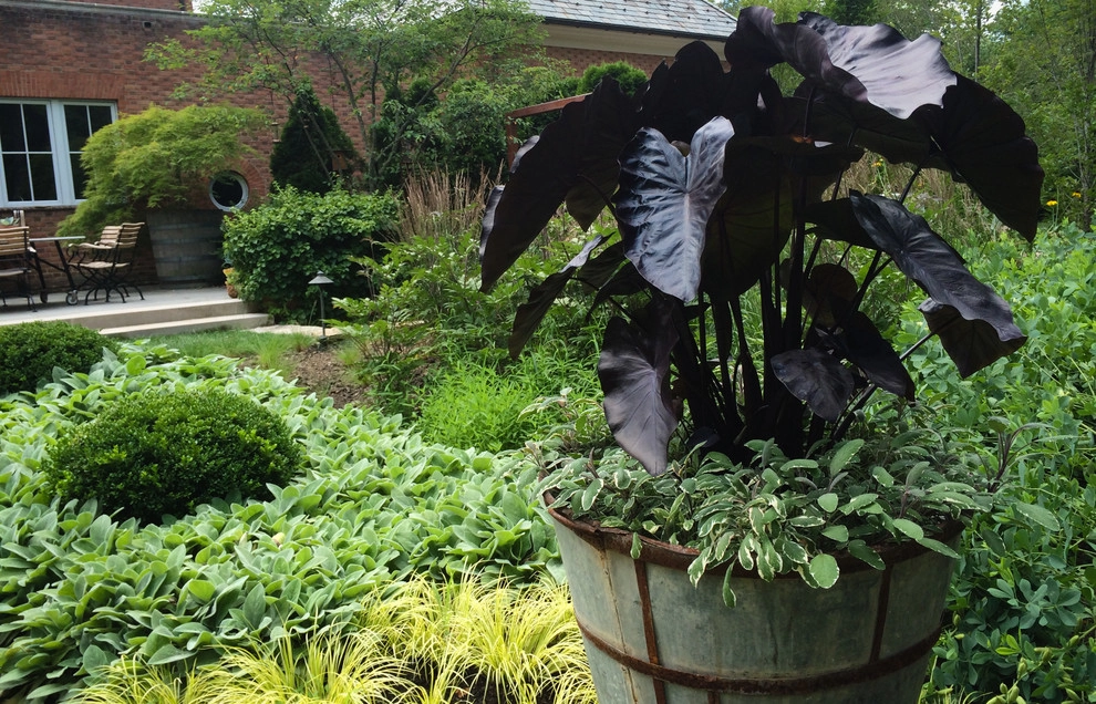 CONTAINERS by McCullough's Landscape & Nursery - Photo 74