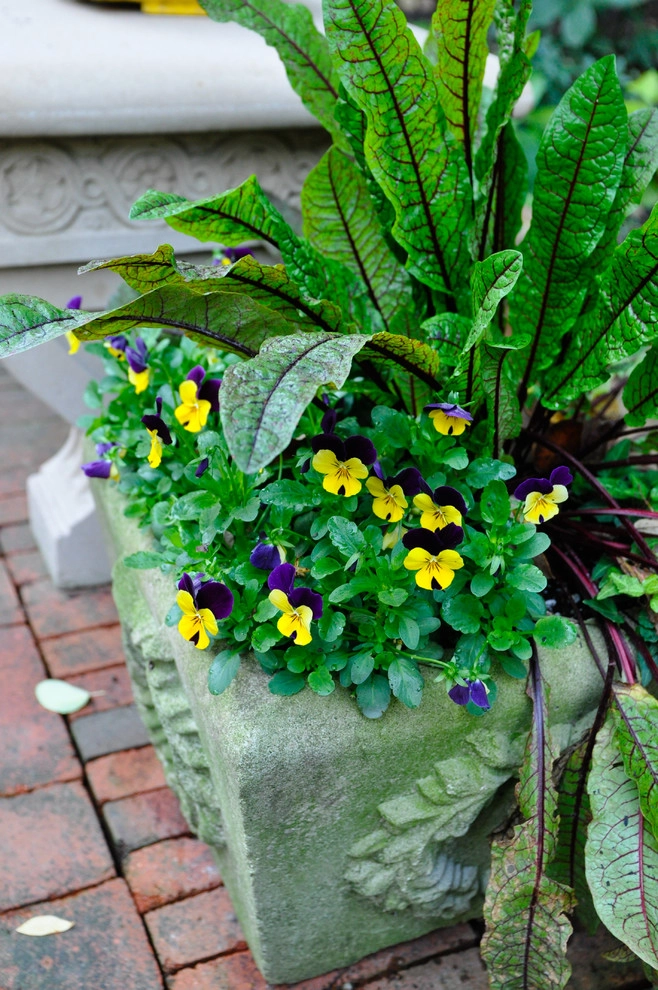 CONTAINERS by McCullough's Landscape & Nursery - Photo 22