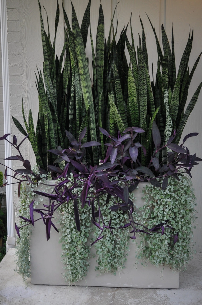 CONTAINERS by McCullough's Landscape & Nursery - Photo 78