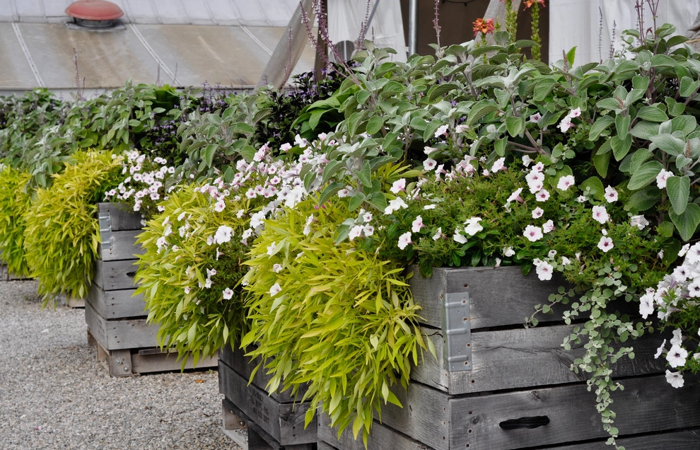 CONTAINERS by McCullough's Landscape & Nursery - Photo 60