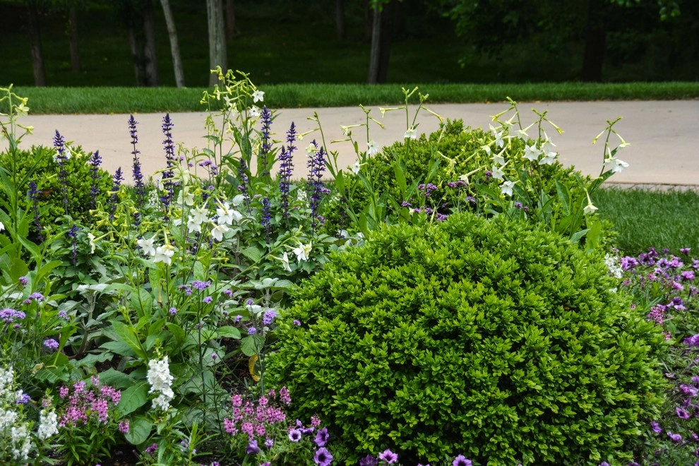 New Albany Farms by McCullough's Landscape & Nursery - Photo 28