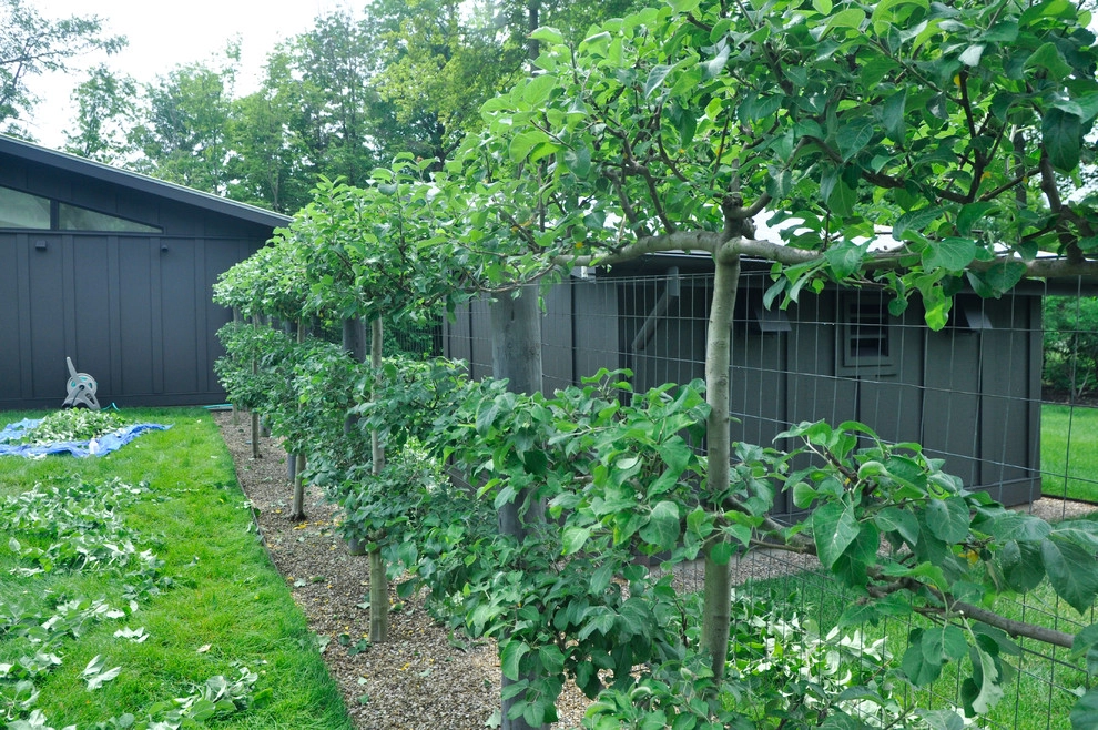 Maintenance by McCullough's Landscape & Nursery - Photo 21