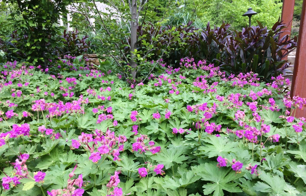 Barn House by McCullough's Landscape & Nursery - Photo 19