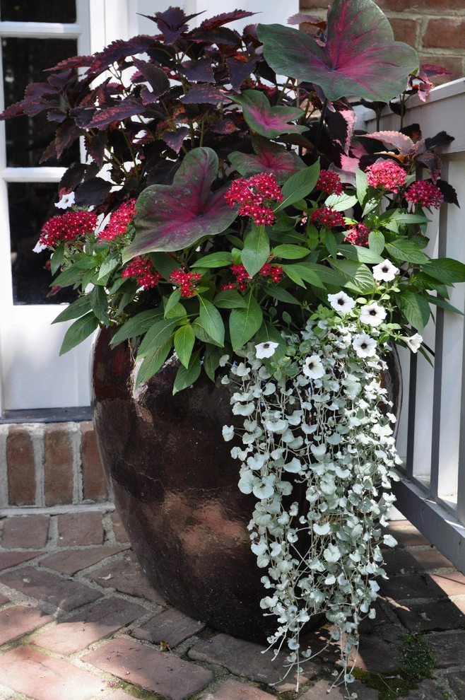 CONTAINERS by McCullough's Landscape & Nursery - Photo 37
