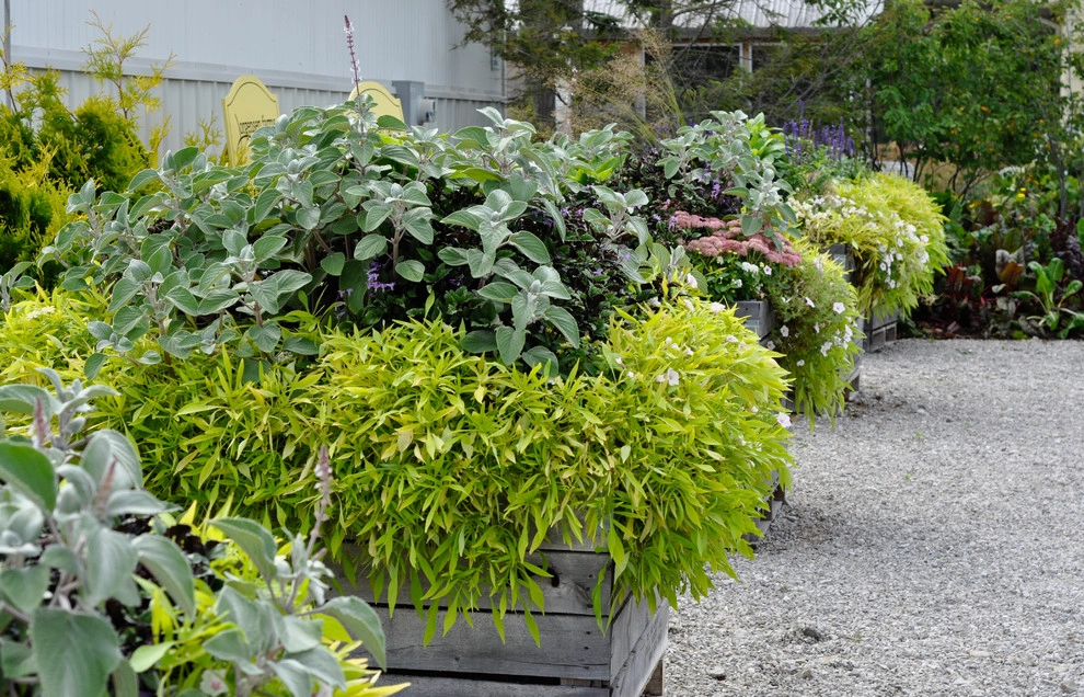 CONTAINERS by McCullough's Landscape & Nursery - Photo 55