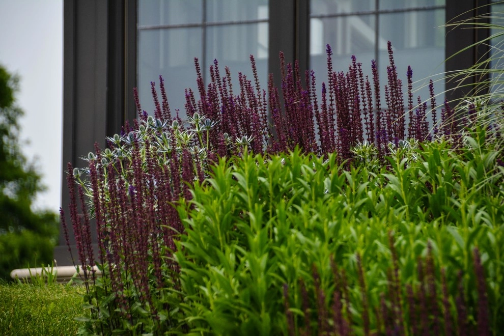 New Albany Farms by McCullough's Landscape & Nursery - Photo 13