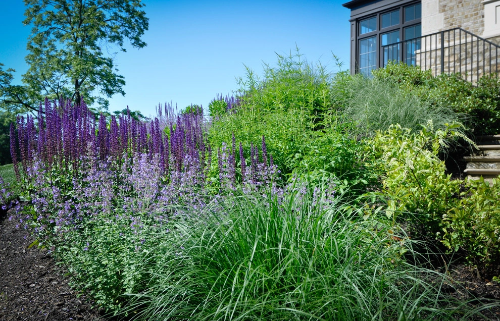 New Albany Farms by McCullough's Landscape & Nursery - Photo 41