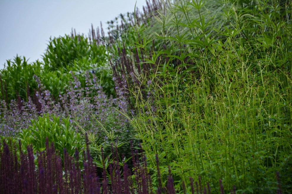 New Albany Farms by McCullough's Landscape & Nursery - Photo 19