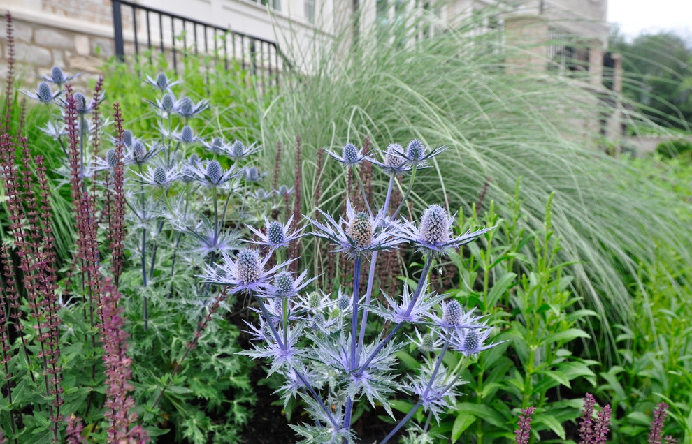 New Albany Farms by McCullough's Landscape & Nursery - Photo 39